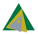 Trinus Capital